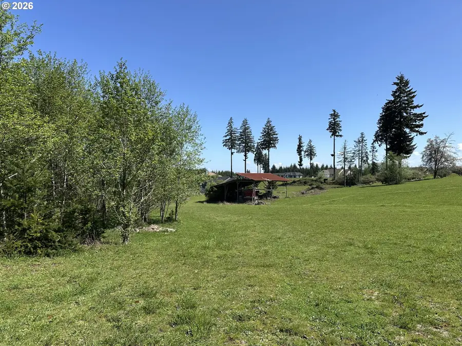 1480 S Silver Lake Rd, Castle Rock, WA 98611 - #3