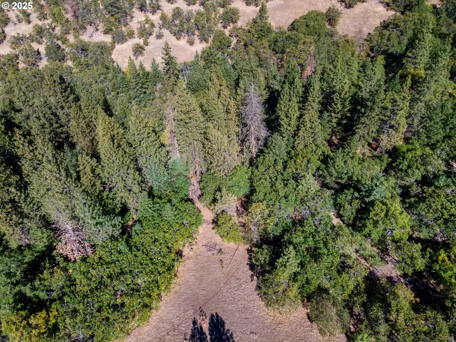 Colestin Rd, Ashland, OR 97520 - Image #3