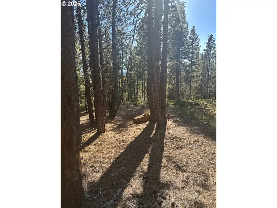 Hwy 58 #201, Crescent, OR 97733 - #2