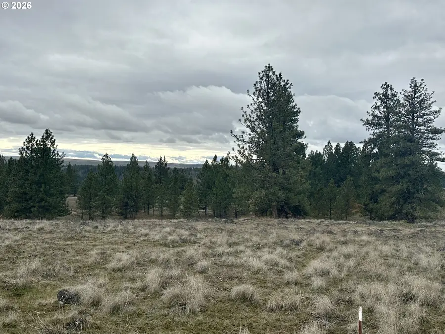 72 Winlock Rd, Goldendale, WA 98620 - #3