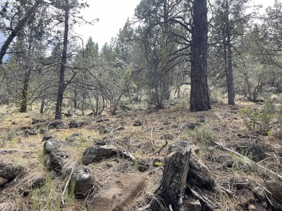 Lakeview Hwy 140 #1200, Lakeview, OR 97630 - #3