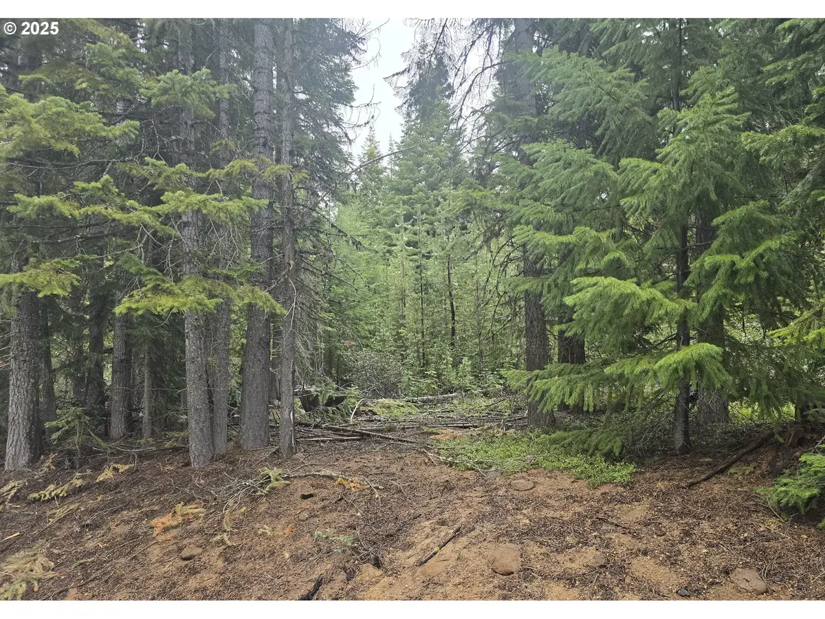 5 Royce Pine, Crescent Lake, OR 97733 - #1