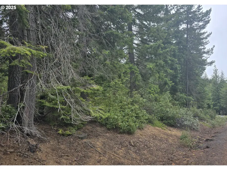 5 Royce Pine, Crescent Lake, OR 97733 - #2