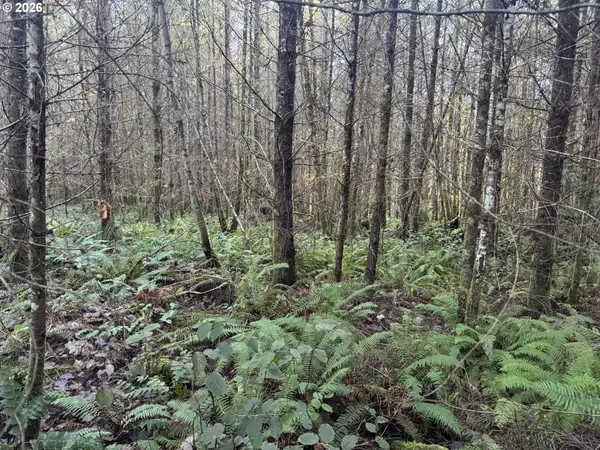 233 Shy Bear Rd, Toutle, WA 98649