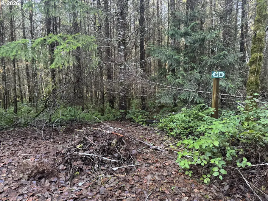 233 Shy Bear Rd, Toutle, WA 98649 - Image #3