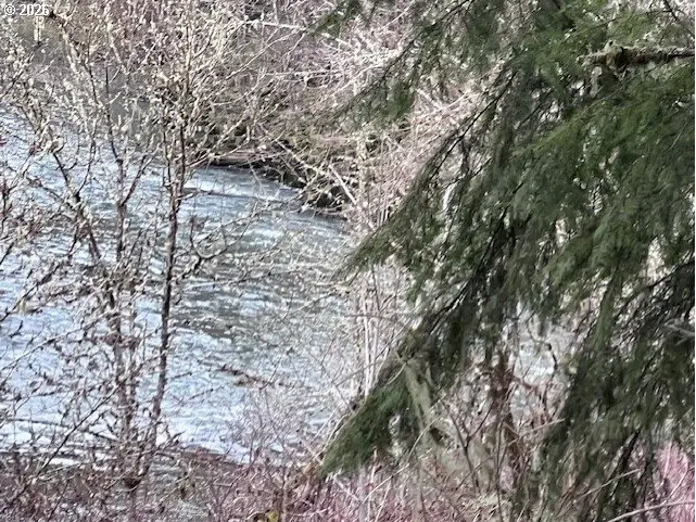 Highway 47, Vernonia, OR 97064 - #3