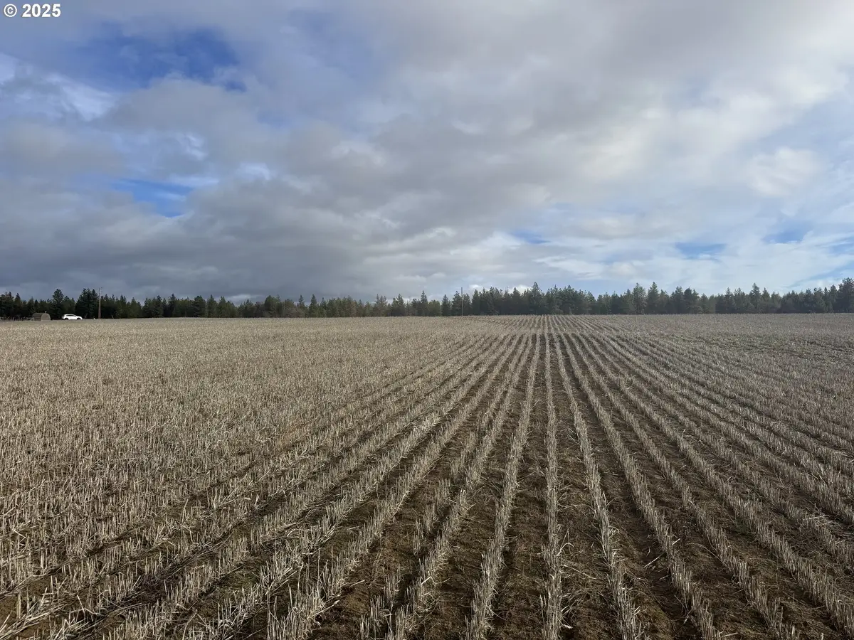 Nka Two Mountainview Rd #1, Centerville, WA 98613 - Image #1