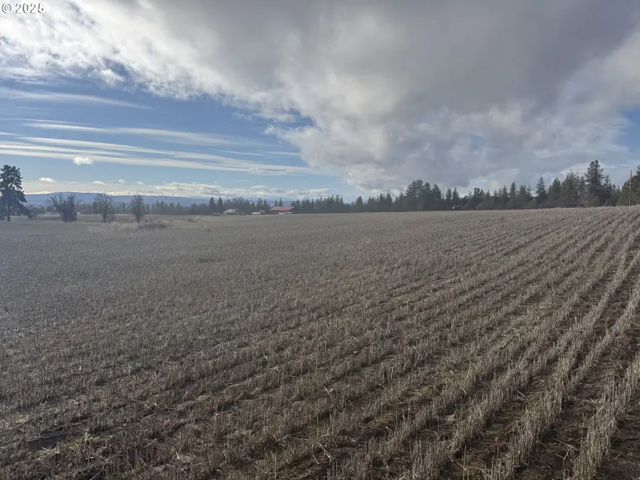 Nka Two Mountainview Rd #1, Centerville, WA 98613 - Image #3