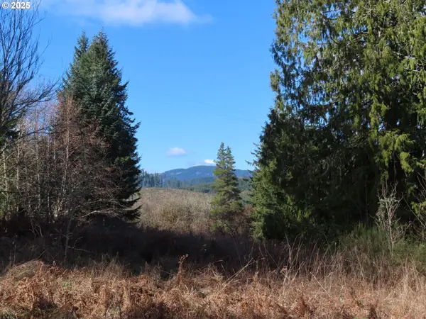 Harkum Rd, PeEll, WA 98572