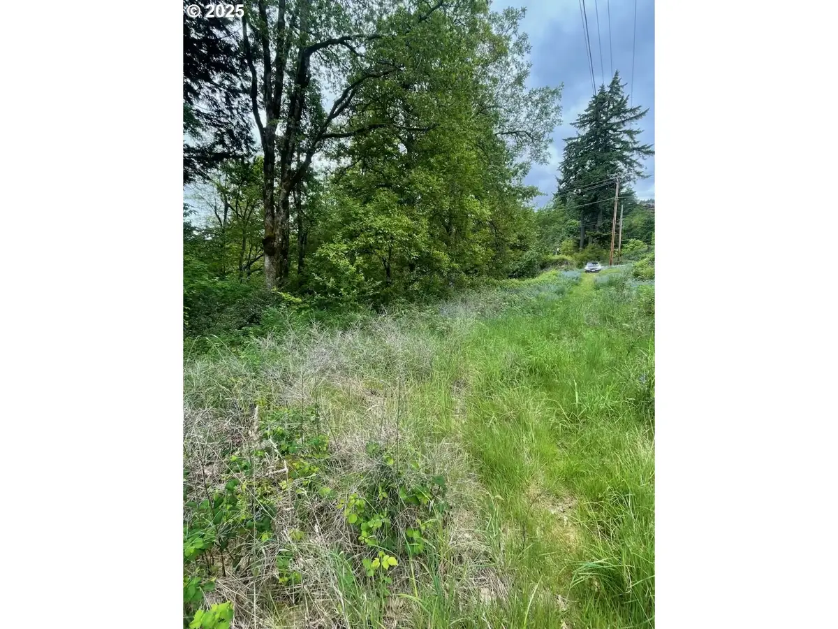 Carson Depot Rd, Carson, WA 98610 - Image #1