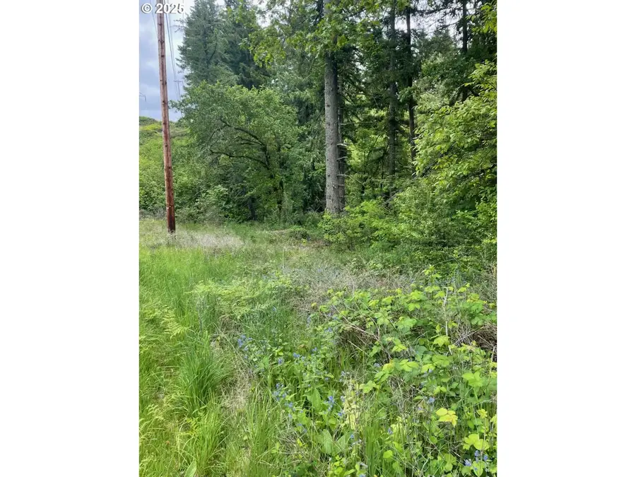 Carson Depot Rd, Carson, WA 98610 - Image #3