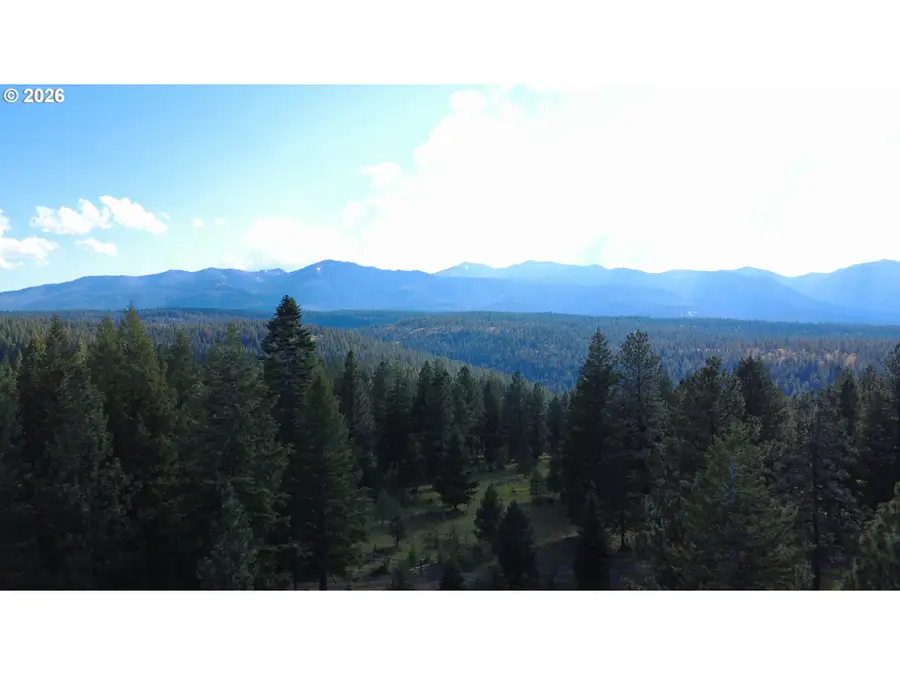 Divide Camp Rd, Joseph, OR 97846 - #2