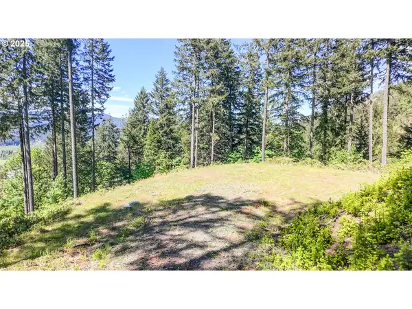 Alder Branch Rd, Springfield, OR 97478