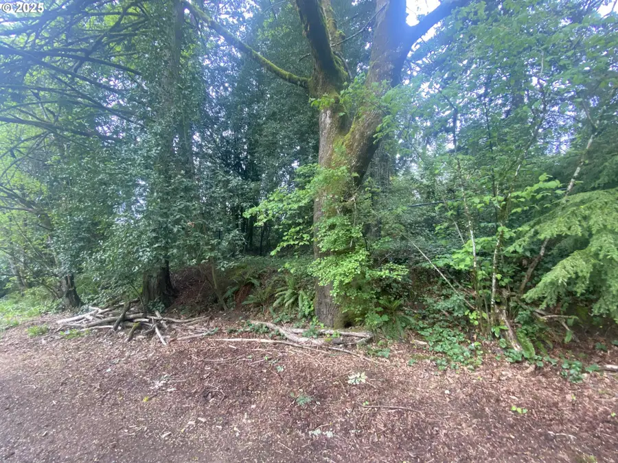 1345 SW Taylors Ferry Ct, Portland, OR 97219 - Image #3