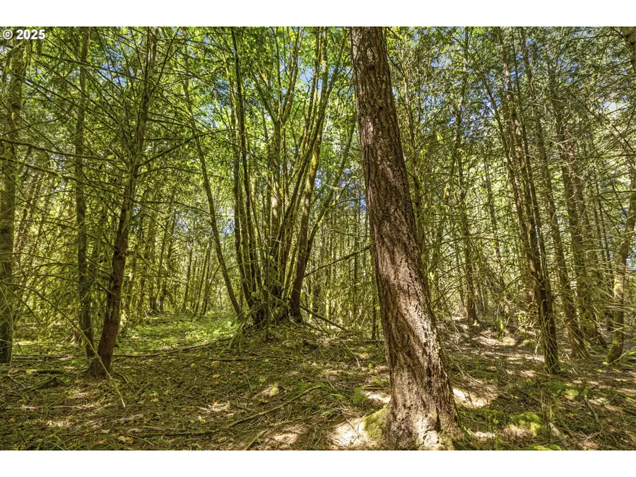 9701 NE 299th, Battle Ground, WA 98604 - Image #3