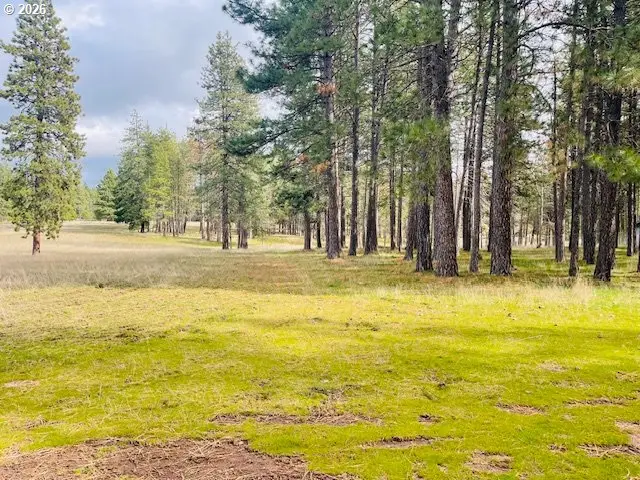 Orchard Heights Rd #Lot 1, Goldendale, WA 98620 - #3