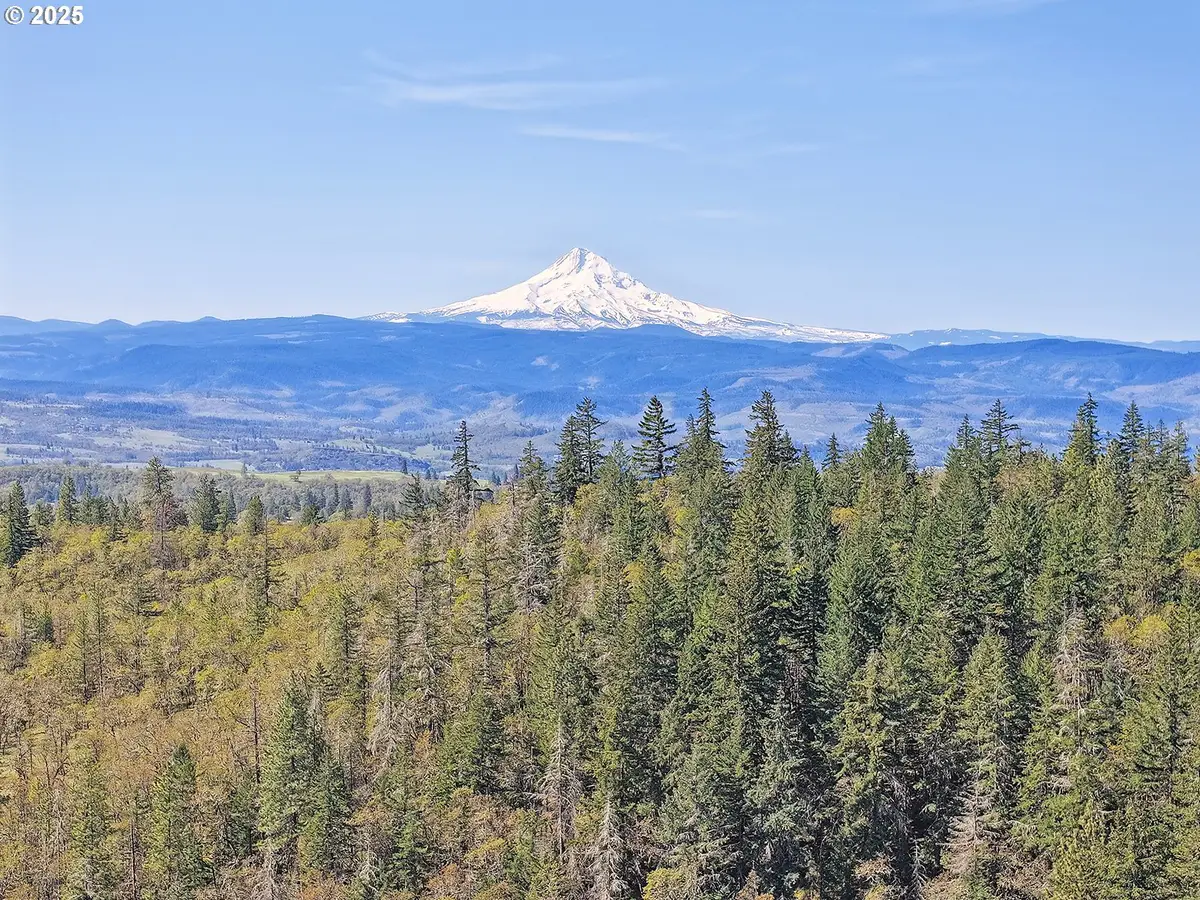 33 Acres Off Canyon Rd., Lyle, WA 98635 - #1
