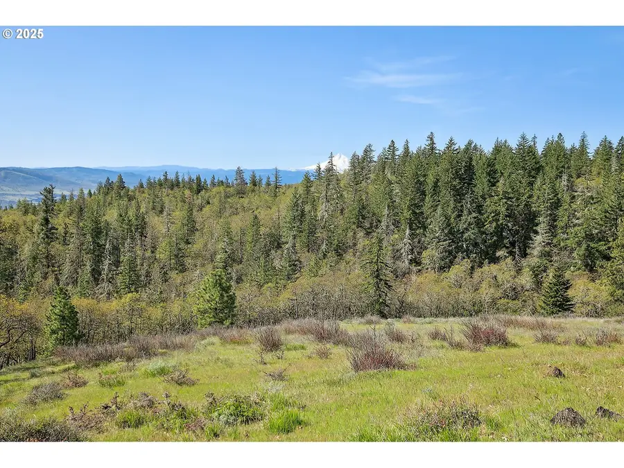 33 Acres Off Canyon Rd., Lyle, WA 98635 - #2