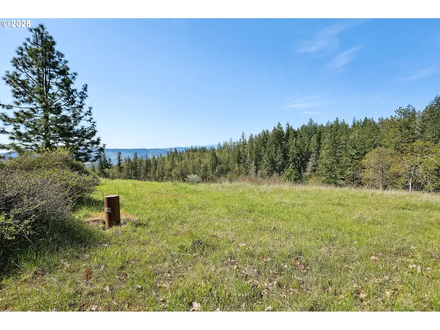 33 Acres Off Canyon Rd., Lyle, WA 98635 - #3
