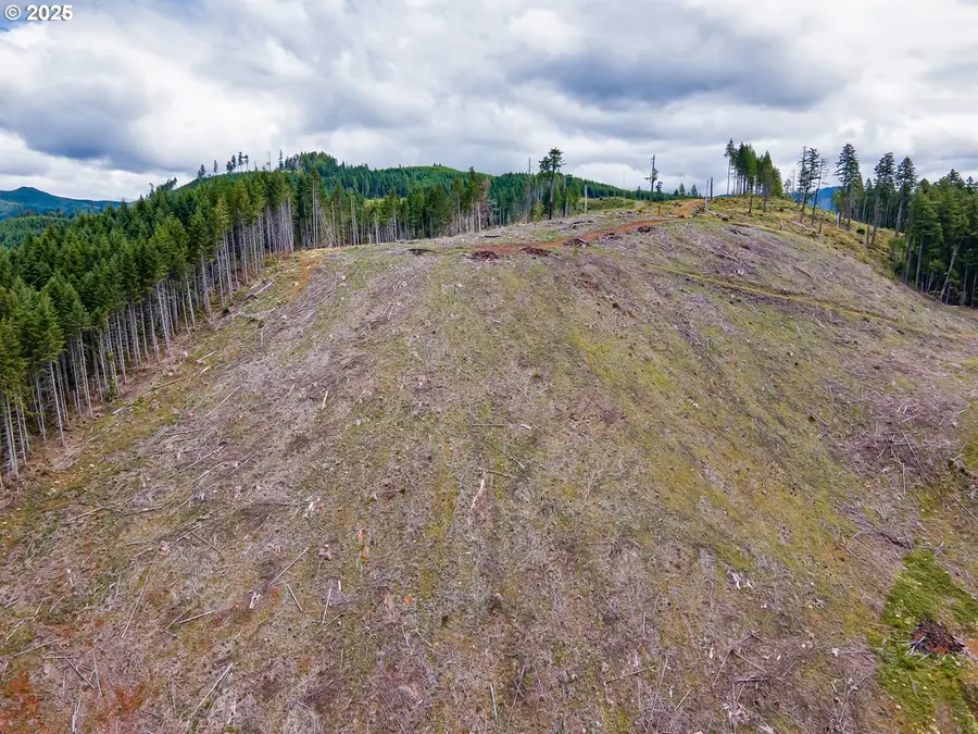 Rat Creek Rd, Cottage Grove, OR 97424 - Image #3