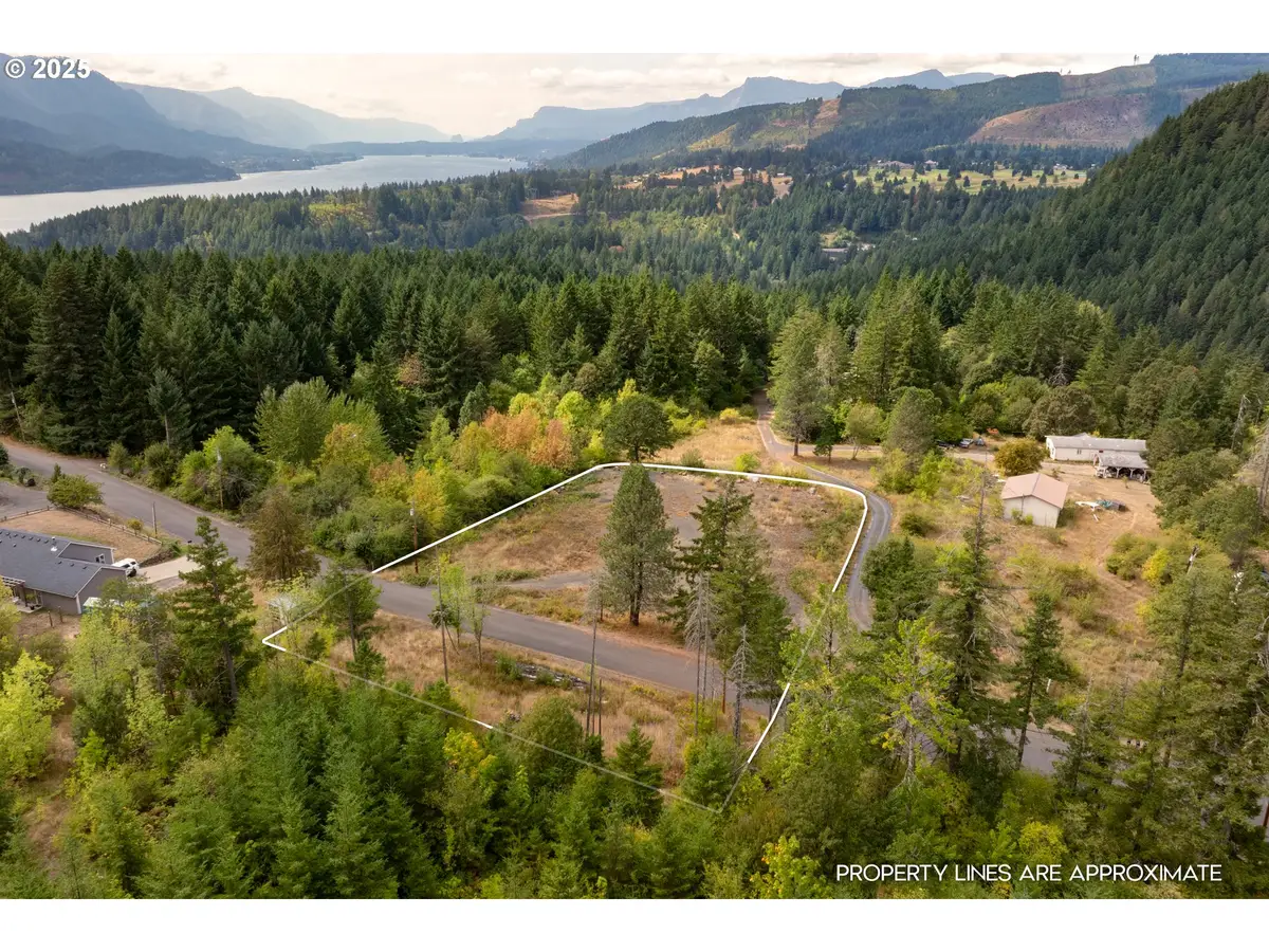 21 Cochran Ln, Carson Underwood, WA 98648 - Image #1