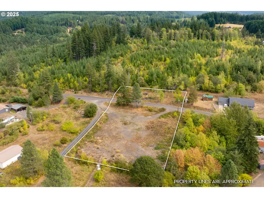 21 Cochran Ln, Carson Underwood, WA 98648 - Image #3