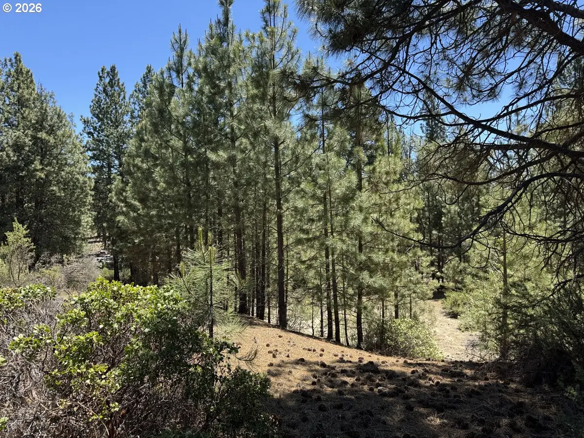 Friendship Dr #12, Chiloquin, OR 97624 - #1