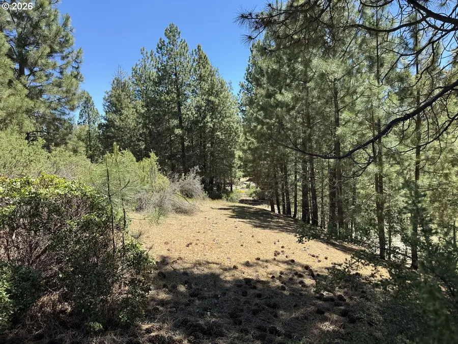 Friendship Dr #12, Chiloquin, OR 97624 - #3