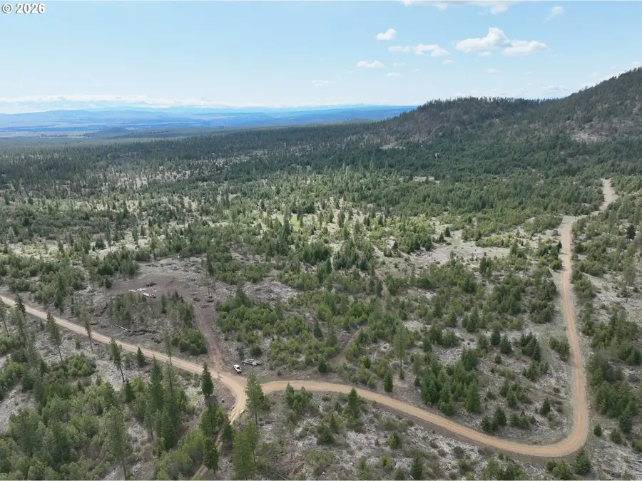 85 Mule Run Rd, Goldendale, WA 98620 - #2