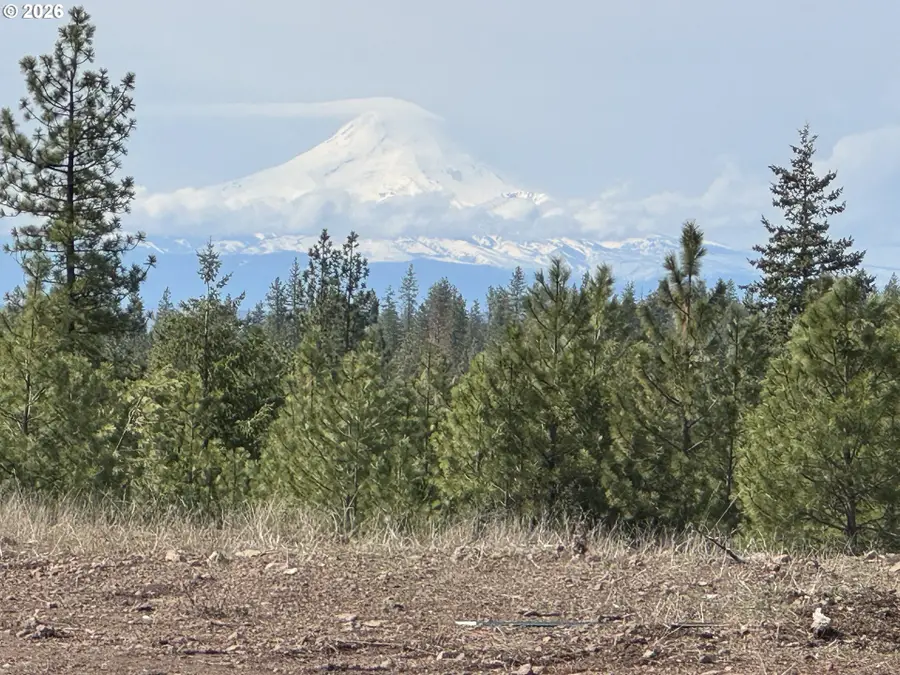 85 Mule Run Rd, Goldendale, WA 98620 - #3
