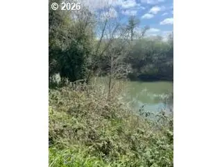 54210 Old Broadbent Rd, Myrtle Point, OR 97458 - #2