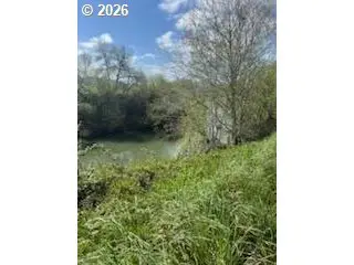 54210 Old Broadbent Rd, Myrtle Point, OR 97458 - #3