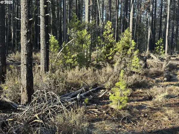 Artesian Dr #6, Chiloquin, OR 97624