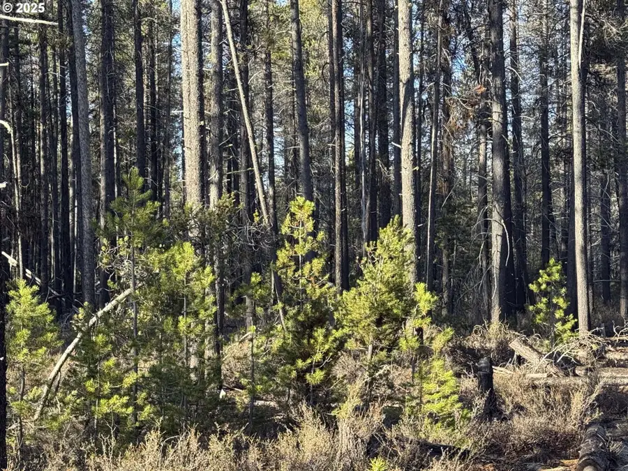 Artesian Dr #6, Chiloquin, OR 97624 - #2