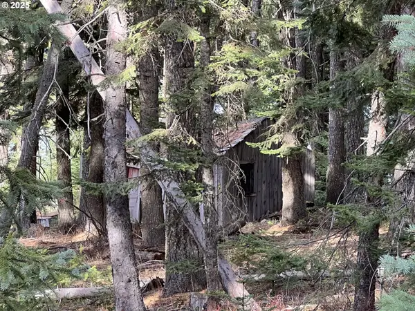 59744 Rommel Ln, Weston, OR 97886