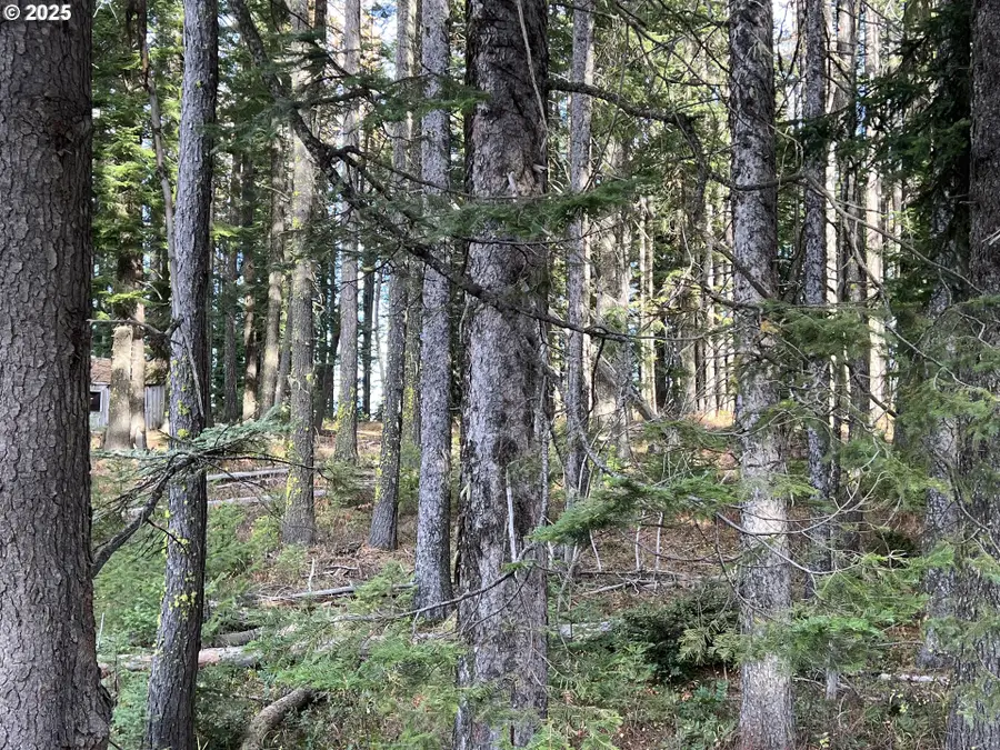 59744 Rommel Ln, Weston, OR 97886 - Image #2