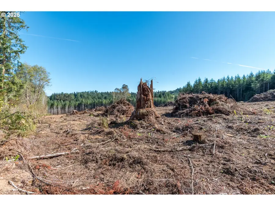 Orion, Longview, WA 98632 - Image #2