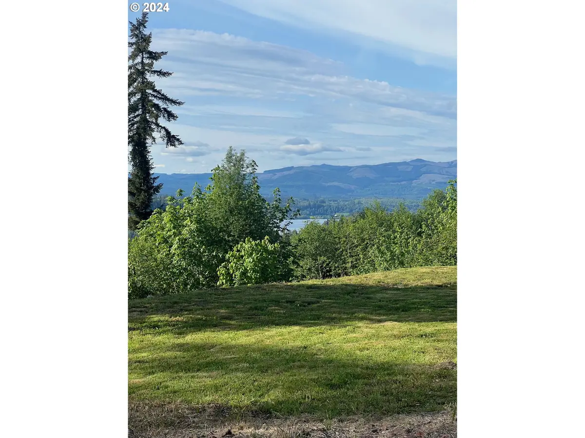 126 Sugar Pine Pl, Mossyrock, WA 98564 - Image #1