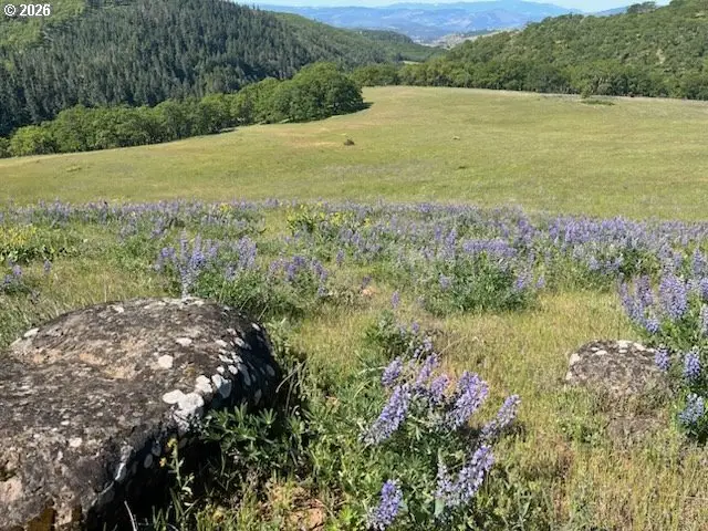 60 Hartwig Rd, Lyle, WA 98635 - #3