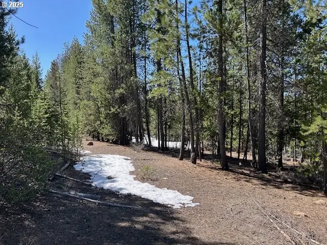 33 Emerald Meadows Way, Crescent Lake, OR 97733 - #1