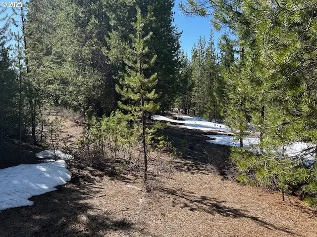 33 Emerald Meadows Way, Crescent Lake, OR 97733 - #3