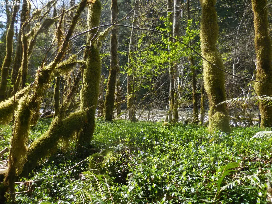 Welches Rd, Welches, OR 97067 - #3