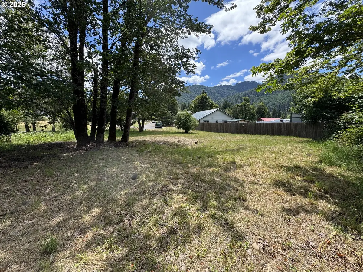 48471 Roaring Rapids Way, Oakridge, OR 97463 - #1