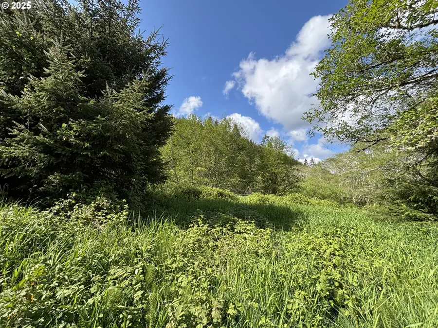 S Immonen #TL1700, Lincoln City, OR 97367 - Image #3