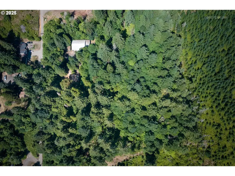 0 SW Mill Rd, Gaston, OR 97119 - Image #3