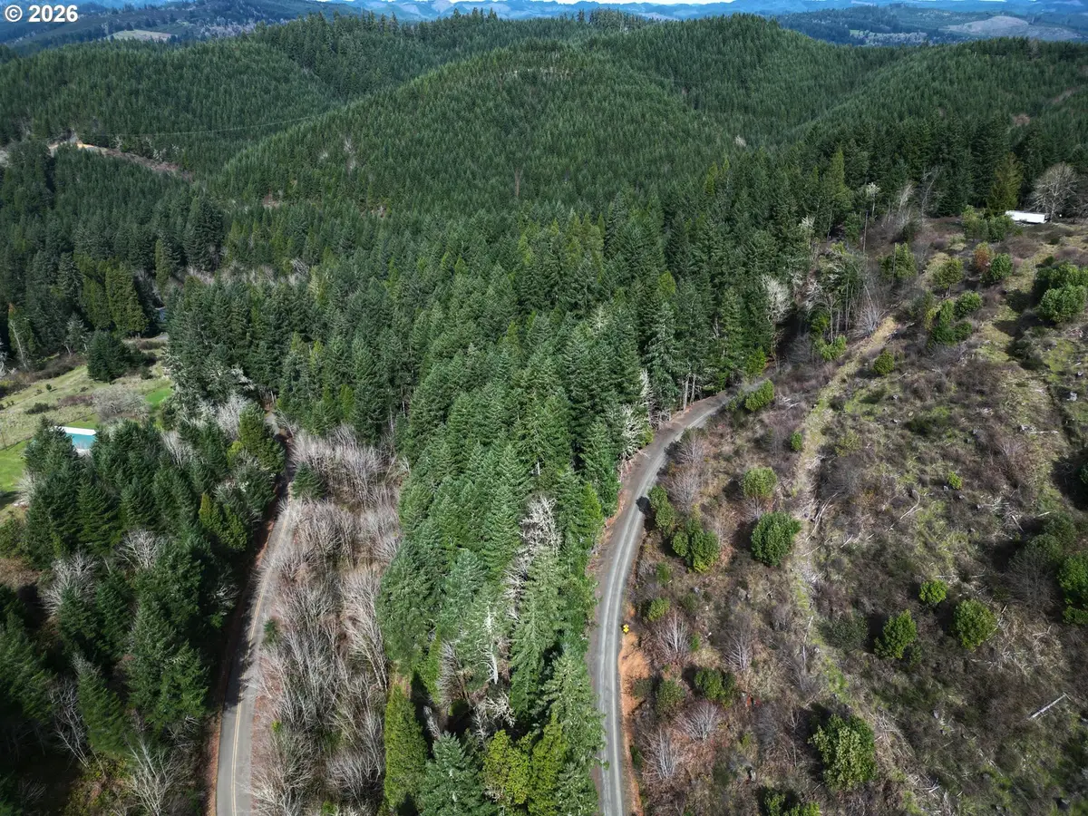Laurel Hill Dr, Drain, OR 97435 - #1