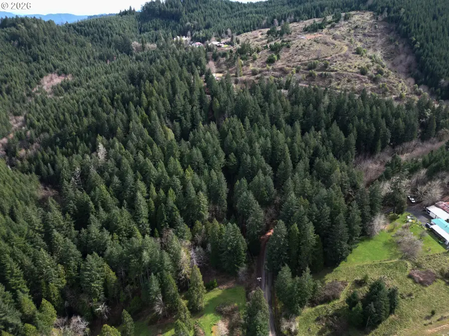 Laurel Hill Dr, Drain, OR 97435 - #2