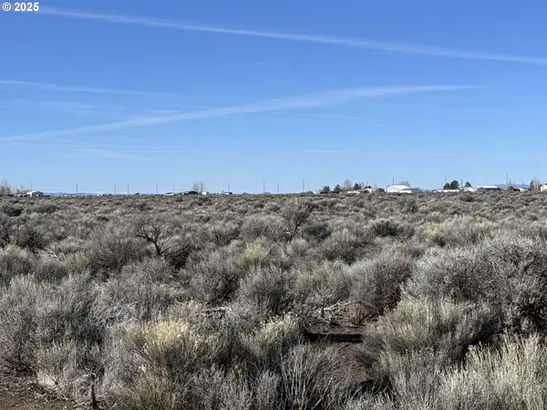 W Thorn Ln #TL100, ChristmasValley, OR 97641