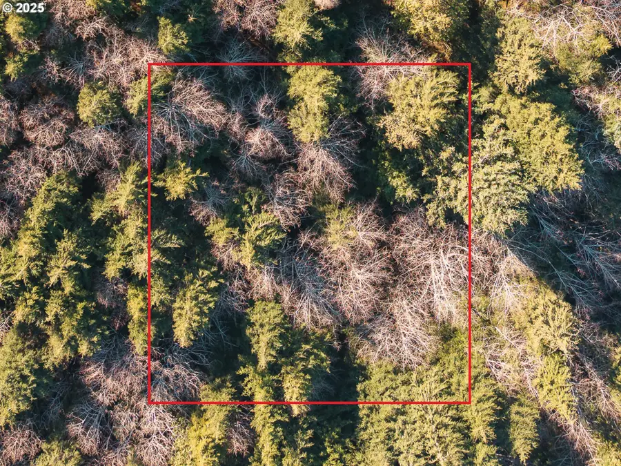 07300 Necarney, Rockaway Beach, OR 97136 - Image #2