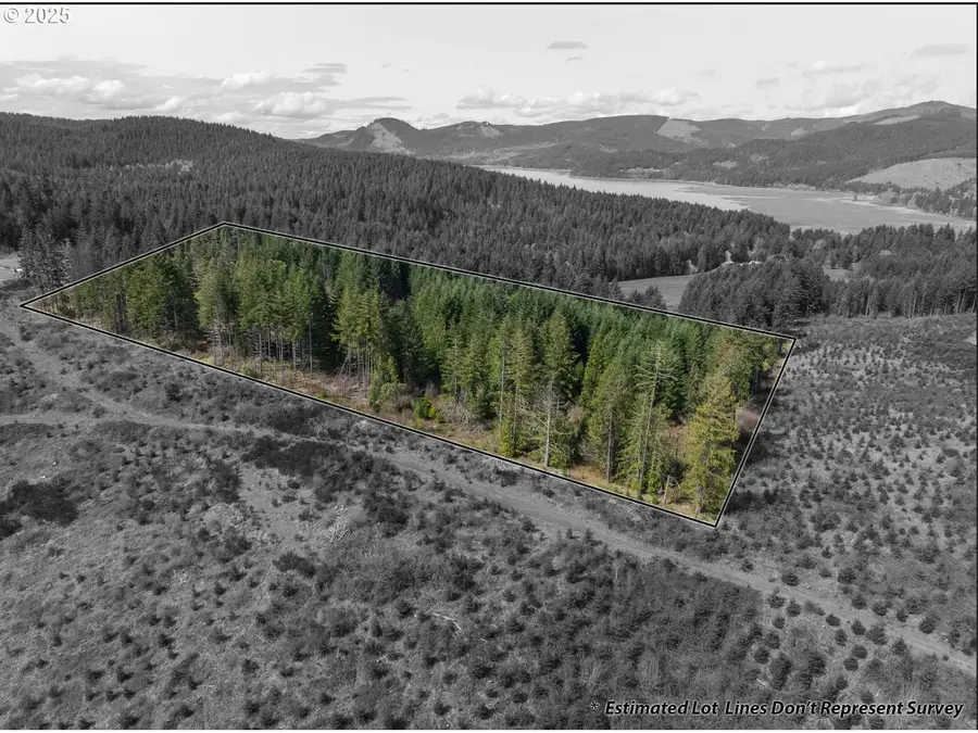 0 Blm Rd. 21-2-15, Dorena, OR 97434 - Image #2